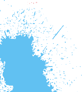Vector